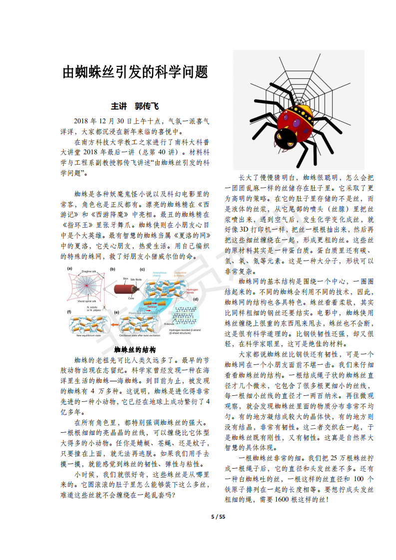 生物科普:由蜘蛛丝引发的科学问题