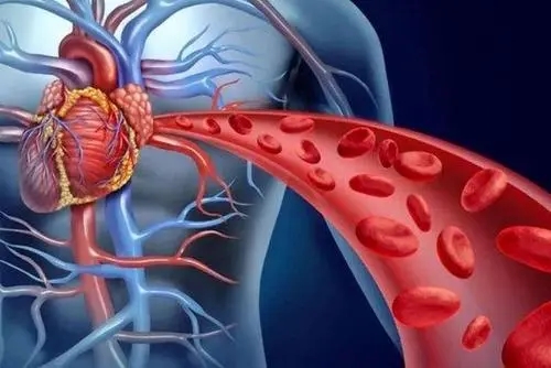 心脏送出来的血液,经过大动脉,中动脉,小动脉,流到全身的毛细血管